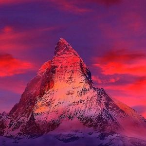 Meet your Posher, Carol ann